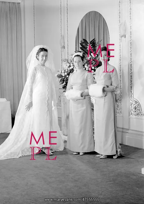 : Portrait of a bride with her bridesmaids : Portrait of a bride with her bridesmaids