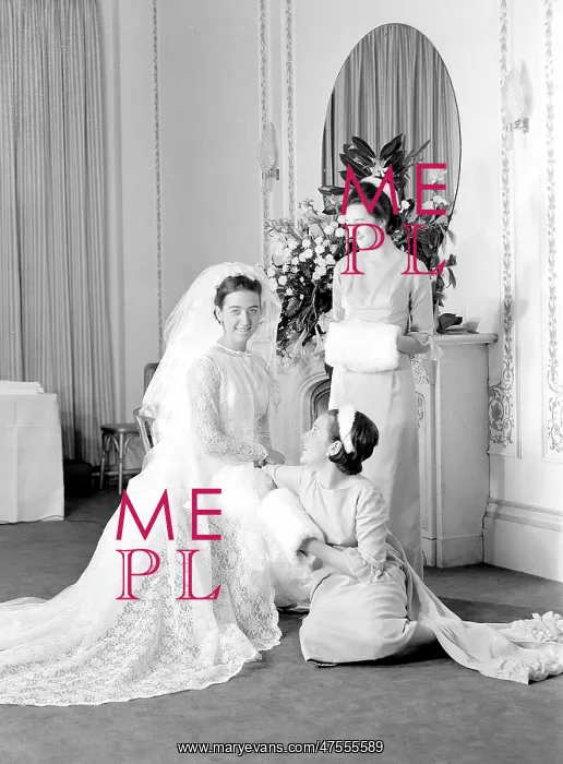: Portrait of a bride with her bridesmaids : Portrait of a bride with her bridesmaids