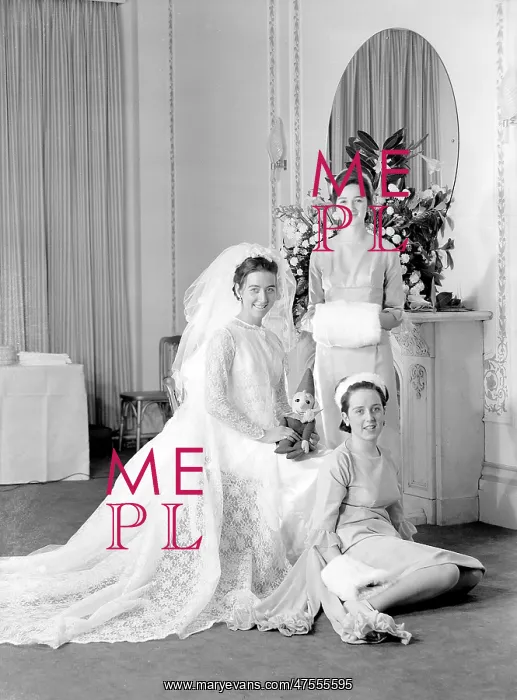 : Portrait of a bride with her bridesmaids : Portrait of a bride with her bridesmaids