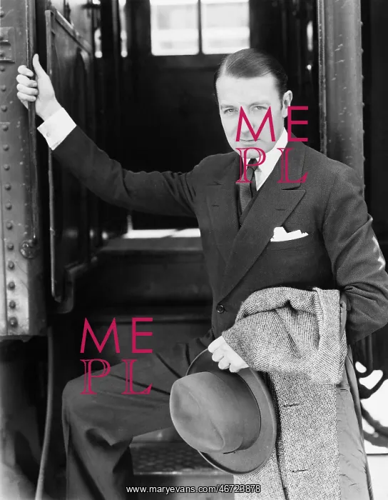 : Portrait of a businessman boarding a train : Portrait of a businessman boarding a train