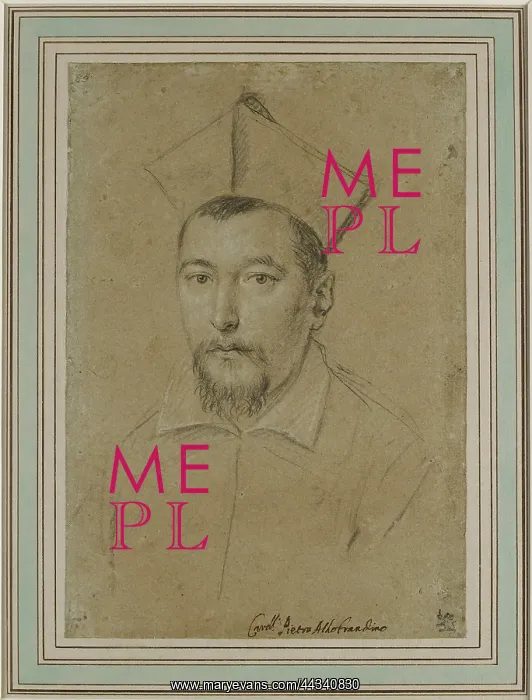 : Portrait of Cardinal Pietro Aldobrandini : Portrait of Cardinal Pietro Aldobrandini