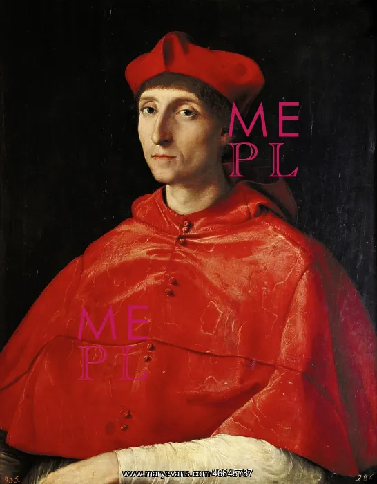 : Portrait of a Cardinal, by Raphael : Portrait of a Cardinal, by Raphael