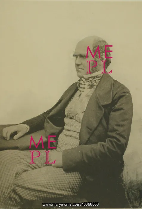 : Portrait of Charles Darwin (1809-1882) : Portrait of Charles Darwin (1809-1882)