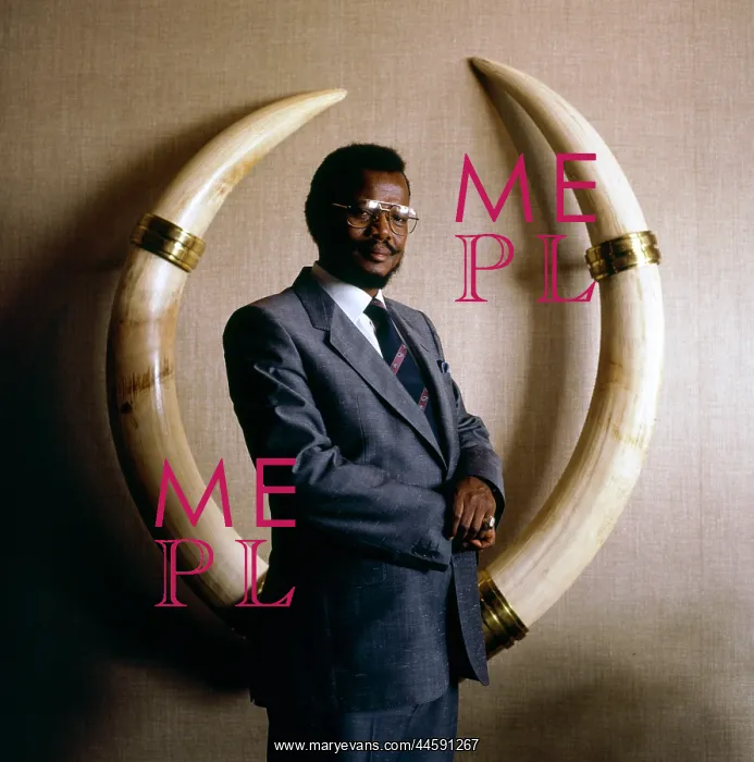 : Portrait of Chief Mangosuthu Buthelezi standing : Portrait of Chief Mangosuthu Buthelezi standing