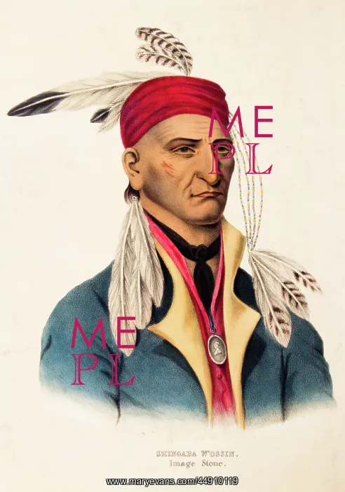 : Portrait of chippewa chief image stone or shingaba : Portrait of chippewa chief image stone or shingaba