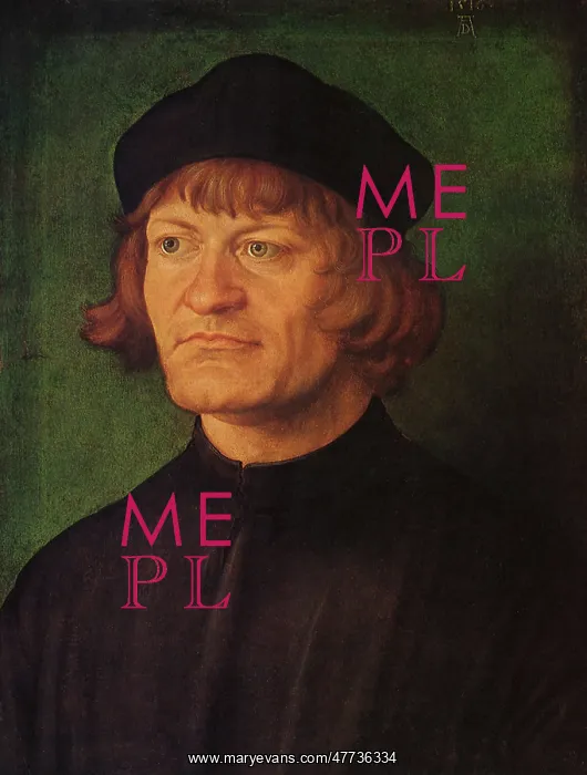  : Portrait of a Clergyman, by Durer