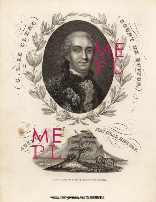 : Portrait of Count Georges Buffon inside laurel garland : Portrait of Count Georges Buffon inside laurel garland