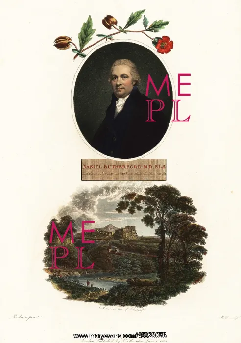 : Portrait of Daniel Rutherford, botanist : Portrait of Daniel Rutherford, botanist