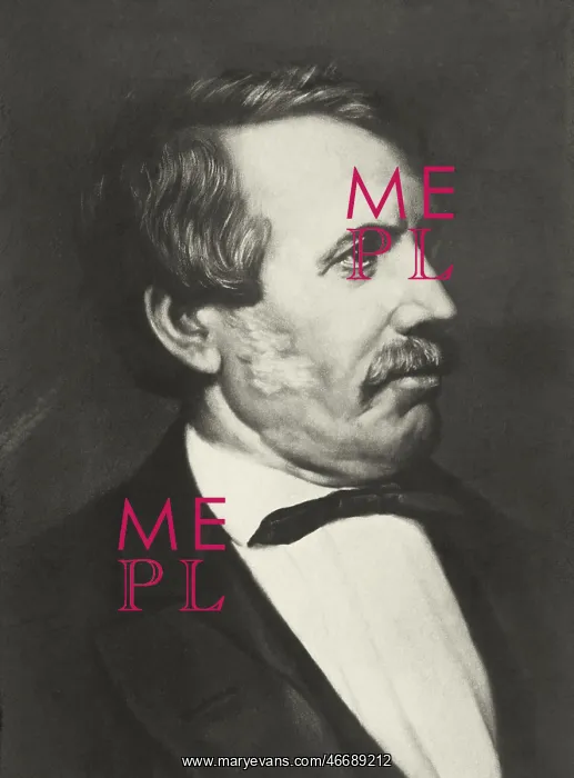 : Portrait of David Livingstone : Portrait of David Livingstone