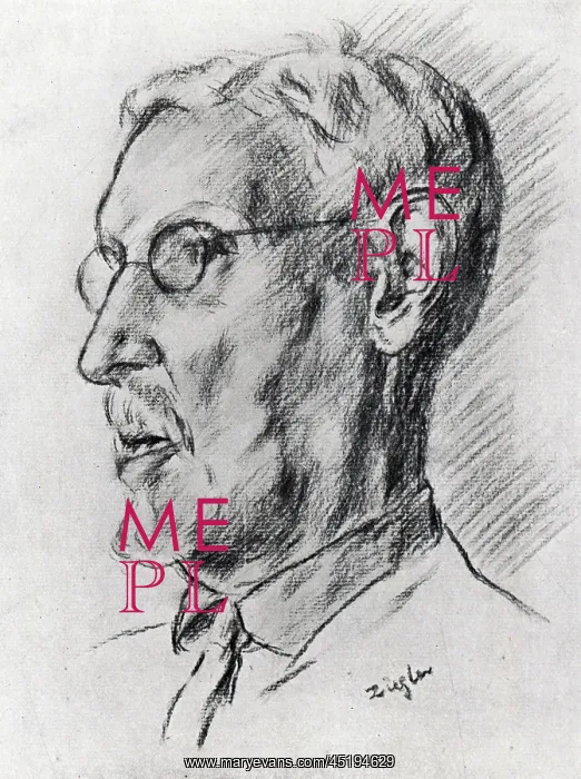 : Portrait Drawing of a Man : Portrait Drawing of a Man