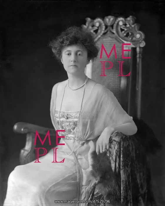 : Portrait of an Edwardian Lady : Portrait of an Edwardian Lady