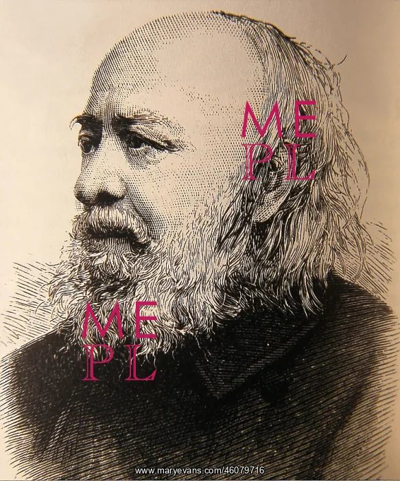 : Portrait of Edwin Chadwick old, UK : Portrait of Edwin Chadwick old, UK