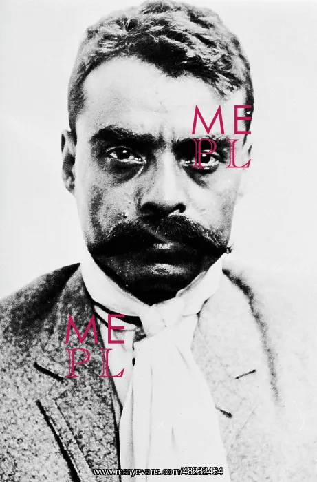 : Portrait of Emiliano Zapata : Portrait of Emiliano Zapata