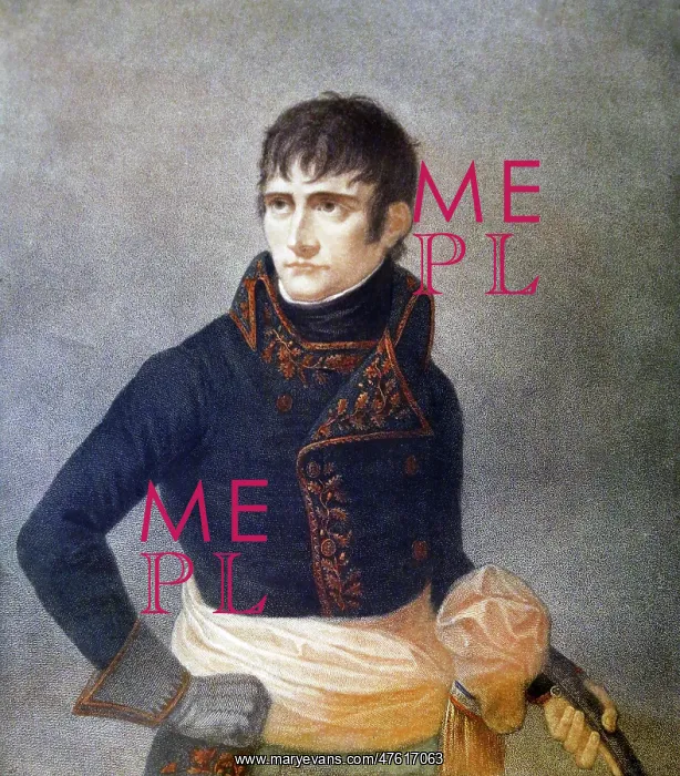 : Portrait of Emperor Napoleon I : Portrait of Emperor Napoleon I