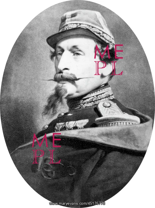 : Portrait of Emperor Napoleon III : Portrait of Emperor Napoleon III