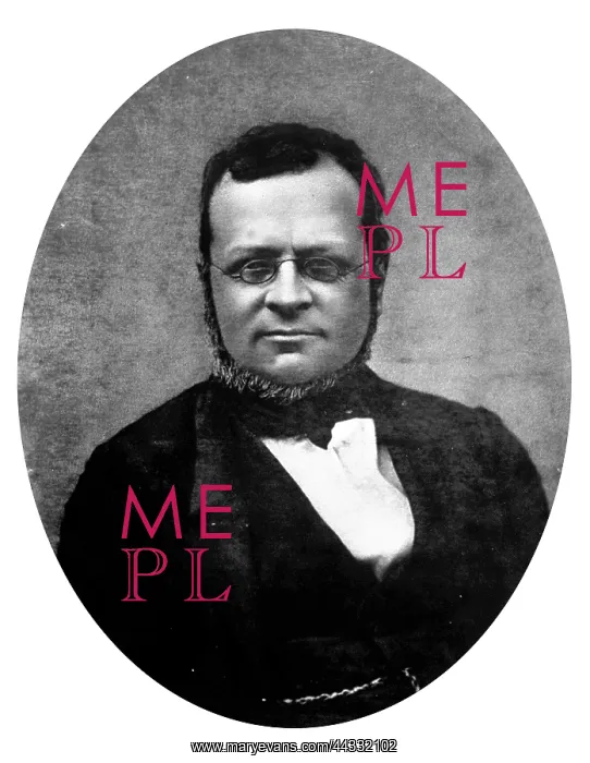 : Portrait of the famous statesman : Portrait of the famous statesman