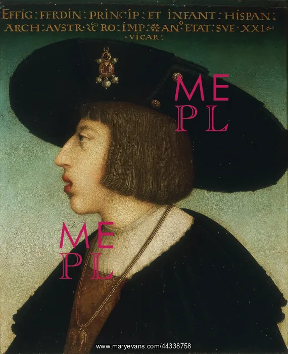 : Portrait of Ferdinand of Castille : Portrait of Ferdinand of Castille