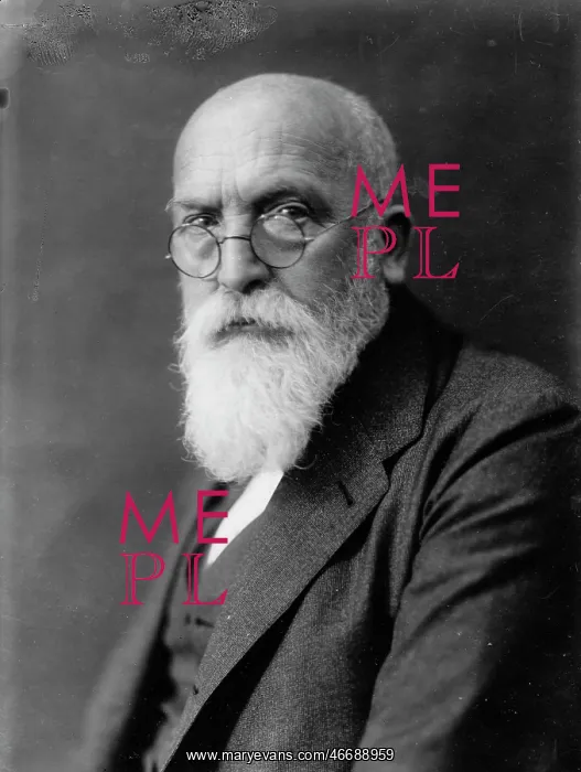 : Portrait of Ferdinand Hochstetter : Portrait of Ferdinand Hochstetter