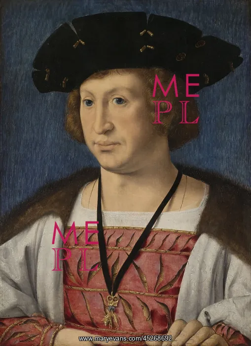 : Portrait of Floris van Egmond : Portrait of Floris van Egmond