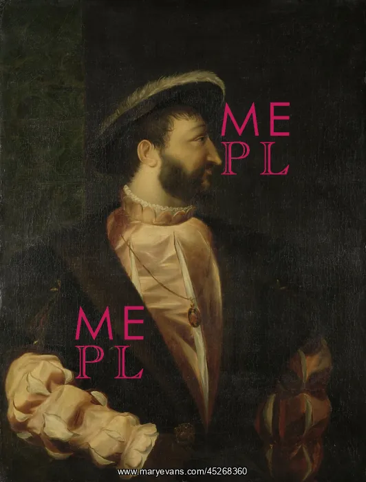 : Portrait of Francis I : Portrait of Francis I