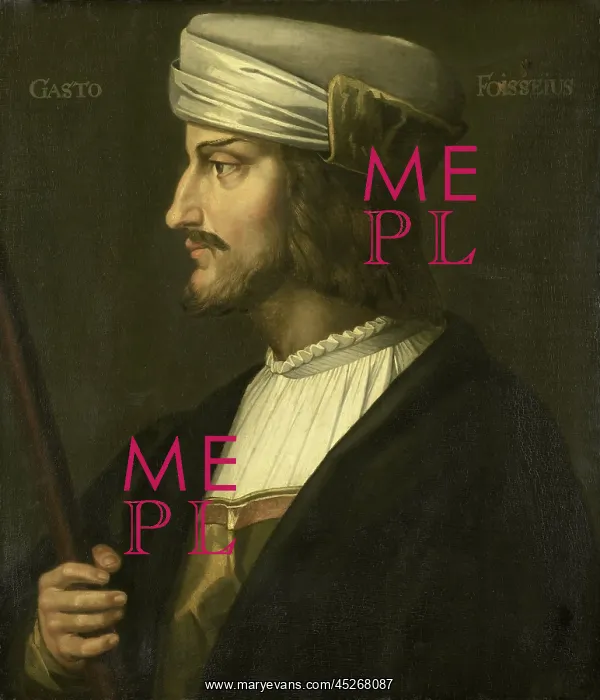 : Portrait of Gaston de Foix : Portrait of Gaston de Foix
