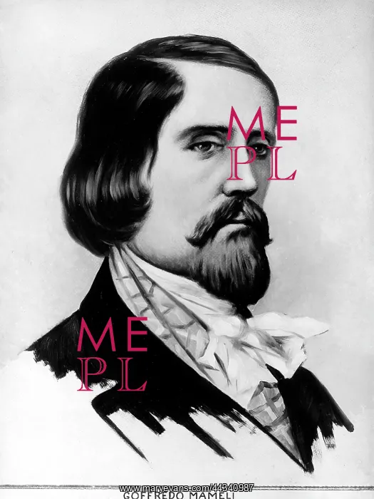 : Portrait of Goffredo Mameli : Portrait of Goffredo Mameli
