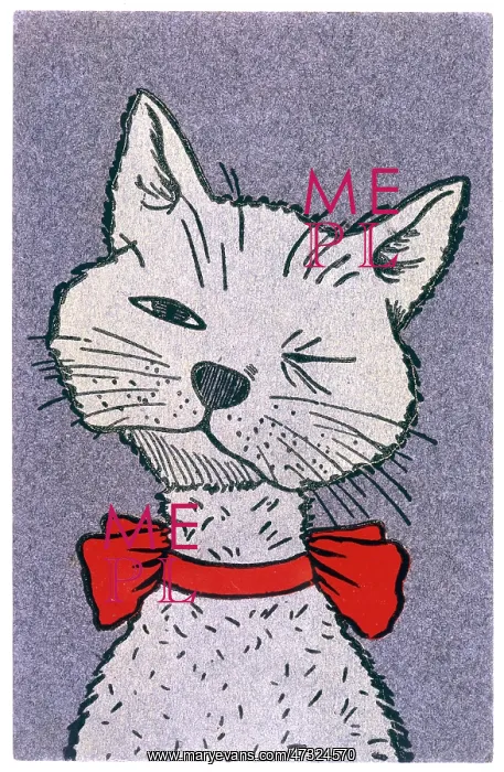  : PORTRAIT OF GREY CAT