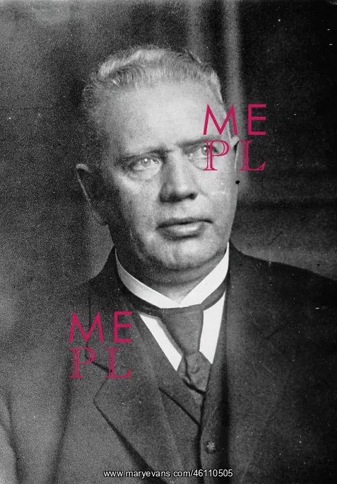 : Portrait of Heinrich Brauns : Portrait of Heinrich Brauns