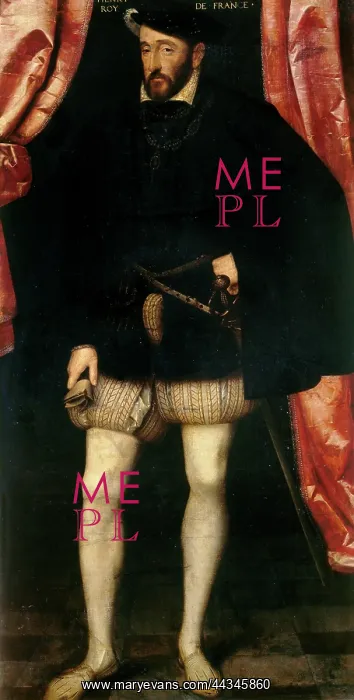 : Portrait of Henri II : Portrait of Henri II