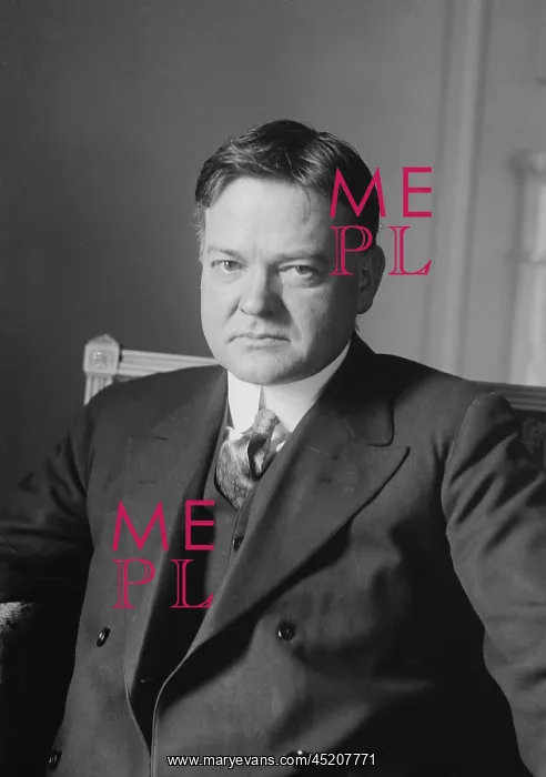 : Portrait of Herbert Hoover (1874-1964), ? : Portrait of Herbert Hoover (1874-1964), ?