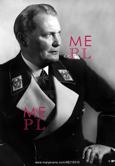 : Portrait of Hermann Gnring, 1938 : Portrait of Hermann Gnring, 1938