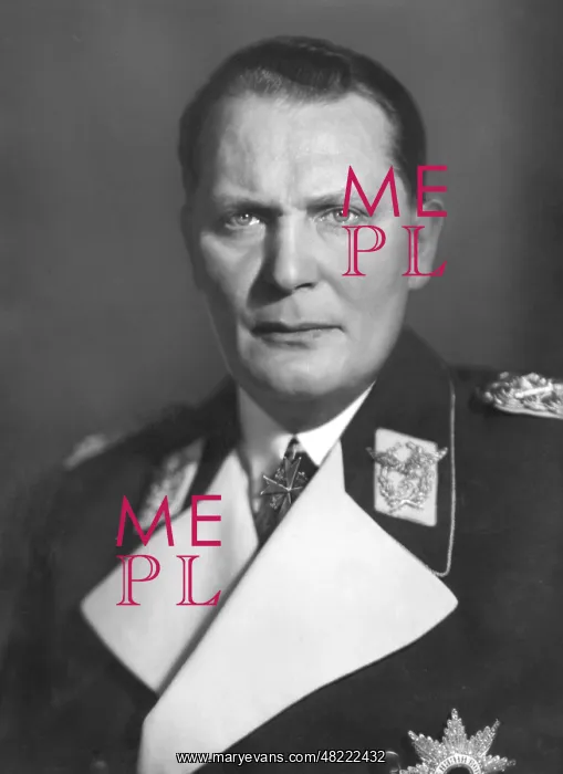 : Portrait of Hermann Gnring, 1938 : Portrait of Hermann Gnring, 1938