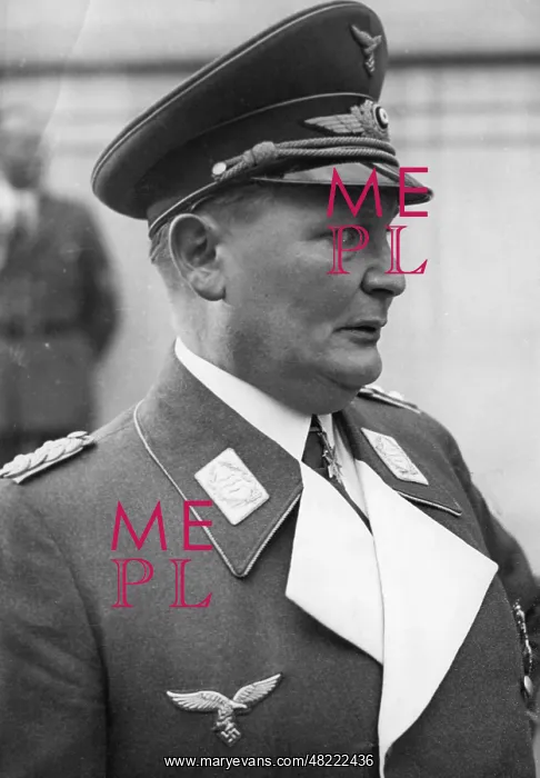 : Portrait of Hermann Gnring, 1938 : Portrait of Hermann Gnring, 1938