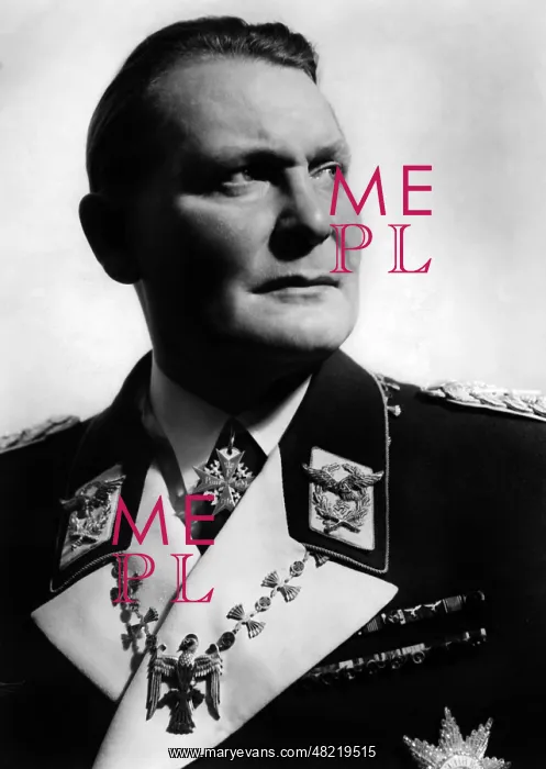 : Portrait of Hermann Gnring : Portrait of Hermann Gnring