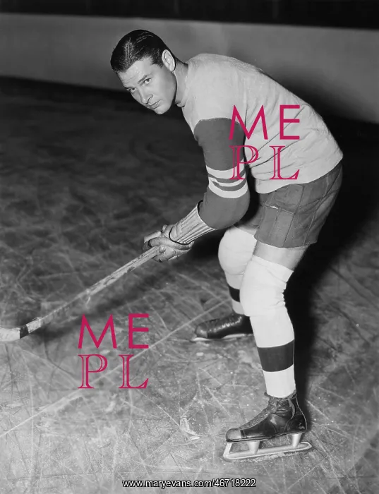 : Portrait of hockey player : Portrait of hockey player