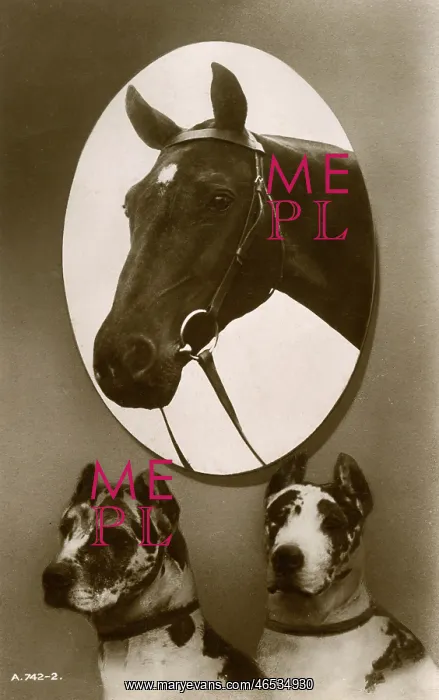: Portrait of a horse and two hounds : Portrait of a horse and two hounds