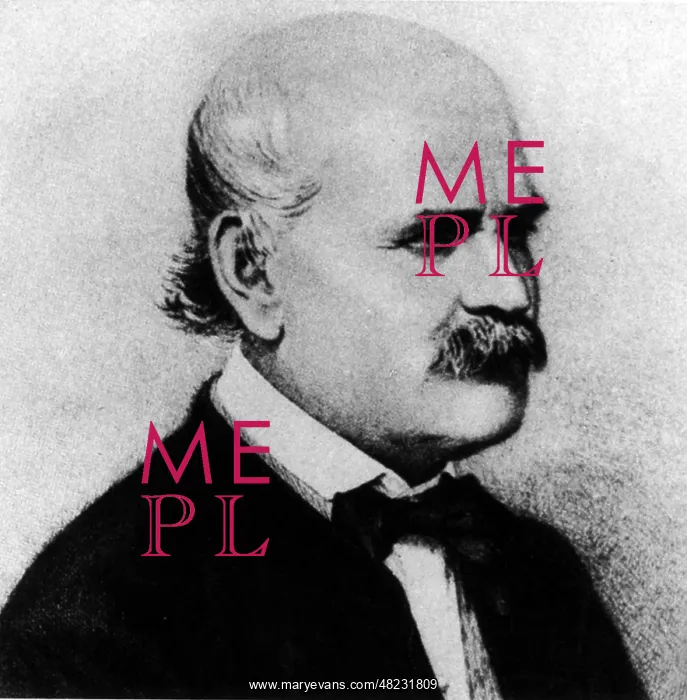 : Portrait of Ignaz Philipp Semmelweis : Portrait of Ignaz Philipp Semmelweis
