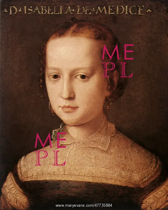  : Portrait of Isabella de Medici