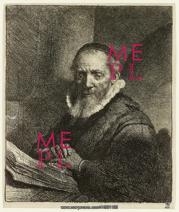 : Portrait of Jan Cornelis Sylvius, preacher : Portrait of Jan Cornelis Sylvius, preacher