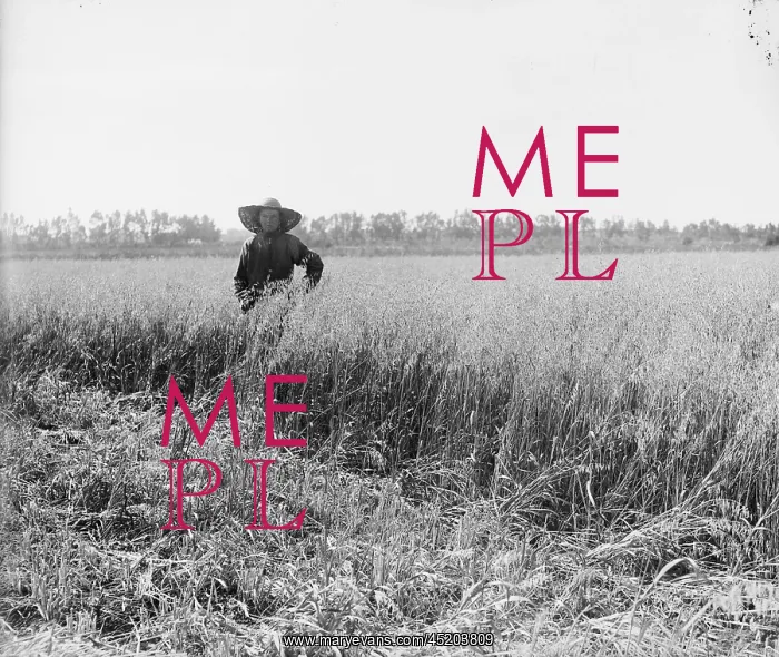 : Portrait of a Jewish settler in a field ? : Portrait of a Jewish settler in a field ?