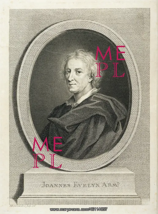 : Portrait of John Evelyn : Portrait of John Evelyn
