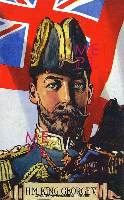 : Portrait of King George V : Portrait of King George V