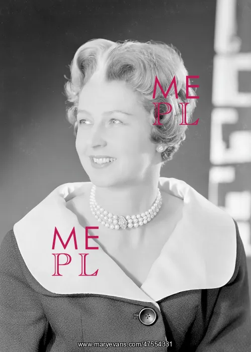 : Portrait of Lady Shawcross : Portrait of Lady Shawcross