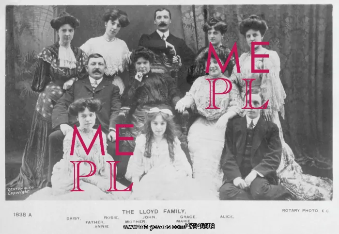: Portrait for the Lloyd family : Portrait for the Lloyd family