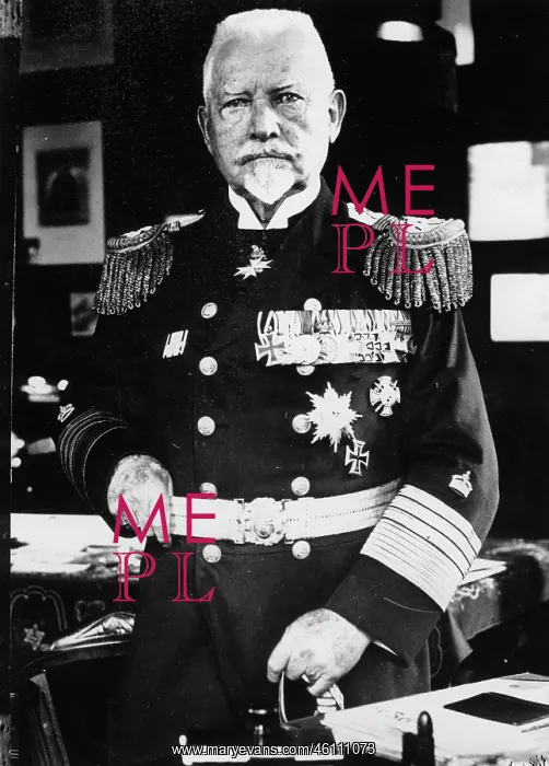 : Portrait of Ludwig von Schroder : Portrait of Ludwig von Schroder
