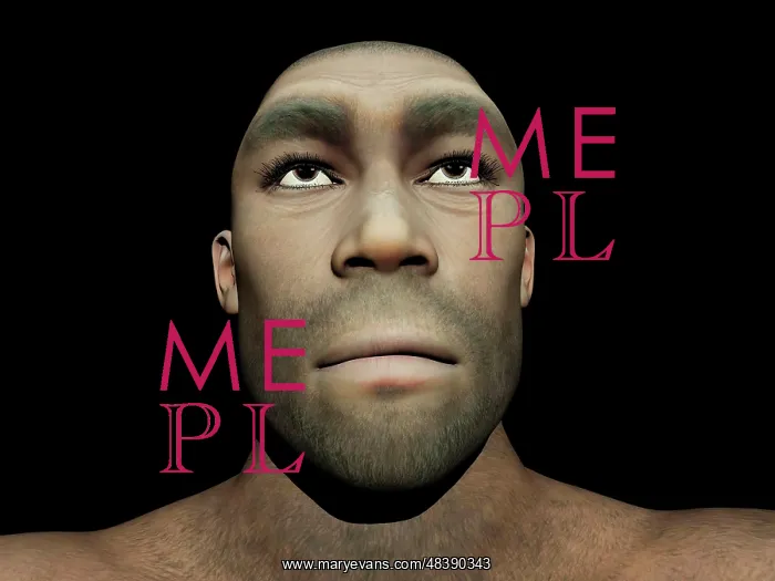 : Portrait of a male Homo Erectus : Portrait of a male Homo Erectus