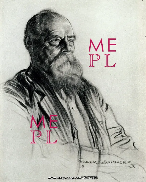: Portrait of a Man : Portrait of a Man