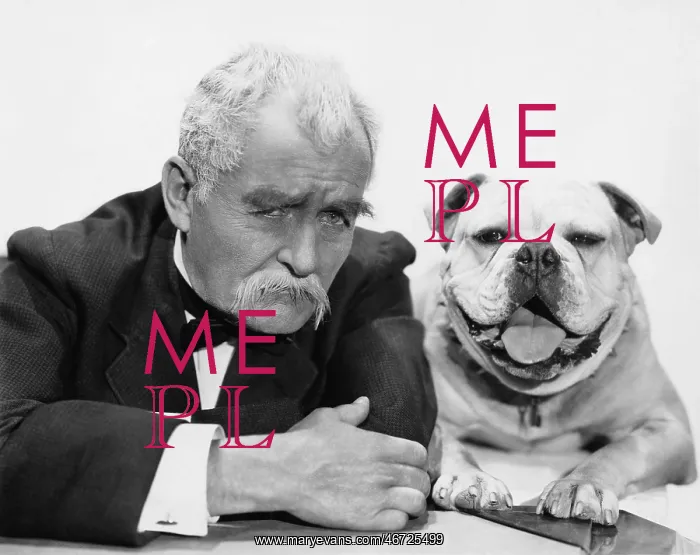 : Portrait of man and dog : Portrait of man and dog