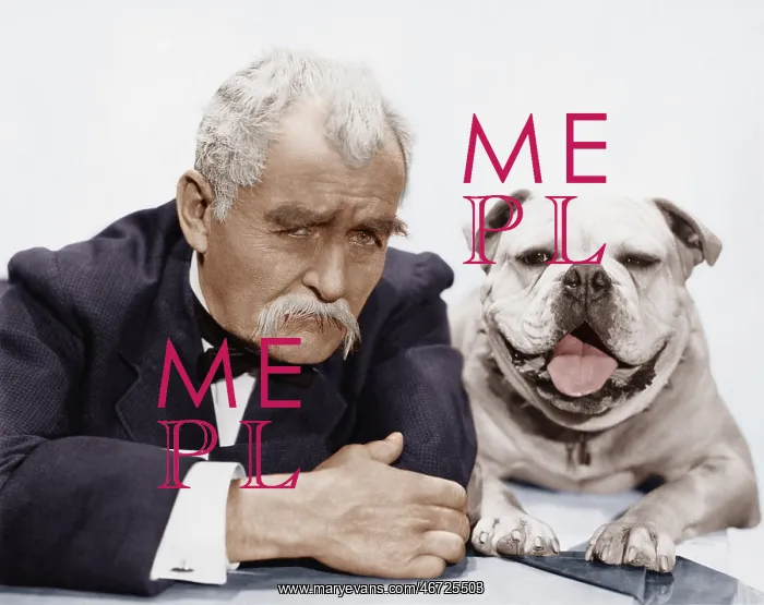 : Portrait of man and dog : Portrait of man and dog