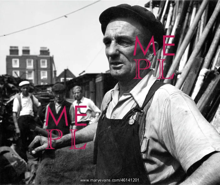 : Portrait of man in overalls in scrapyard : Portrait of man in overalls in scrapyard
